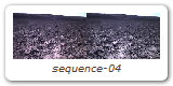 sequence-04