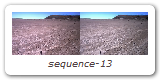 sequence-13