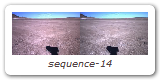sequence-14