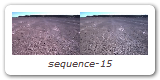 sequence-15