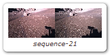 sequence-21