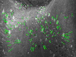 Intensity image and feature tracks from the Autonosys Lidar.